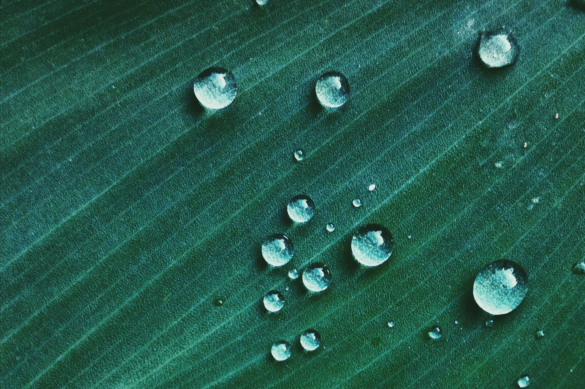 Solicitud de artículos para el número 71 «Hidrofeminismos en América Latina»