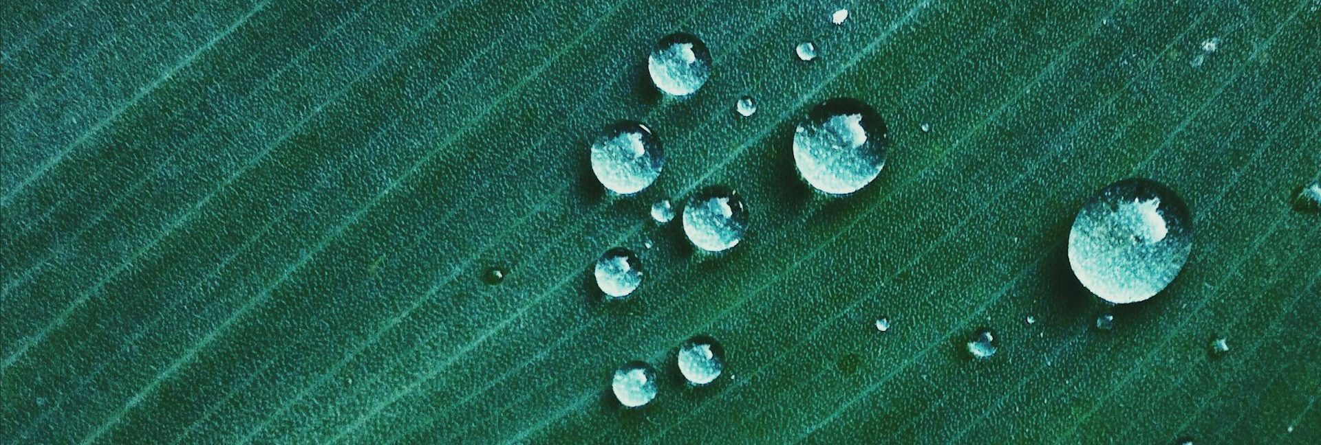 Solicitud de artículos para el número 71 «Hidrofeminismos en América Latina»