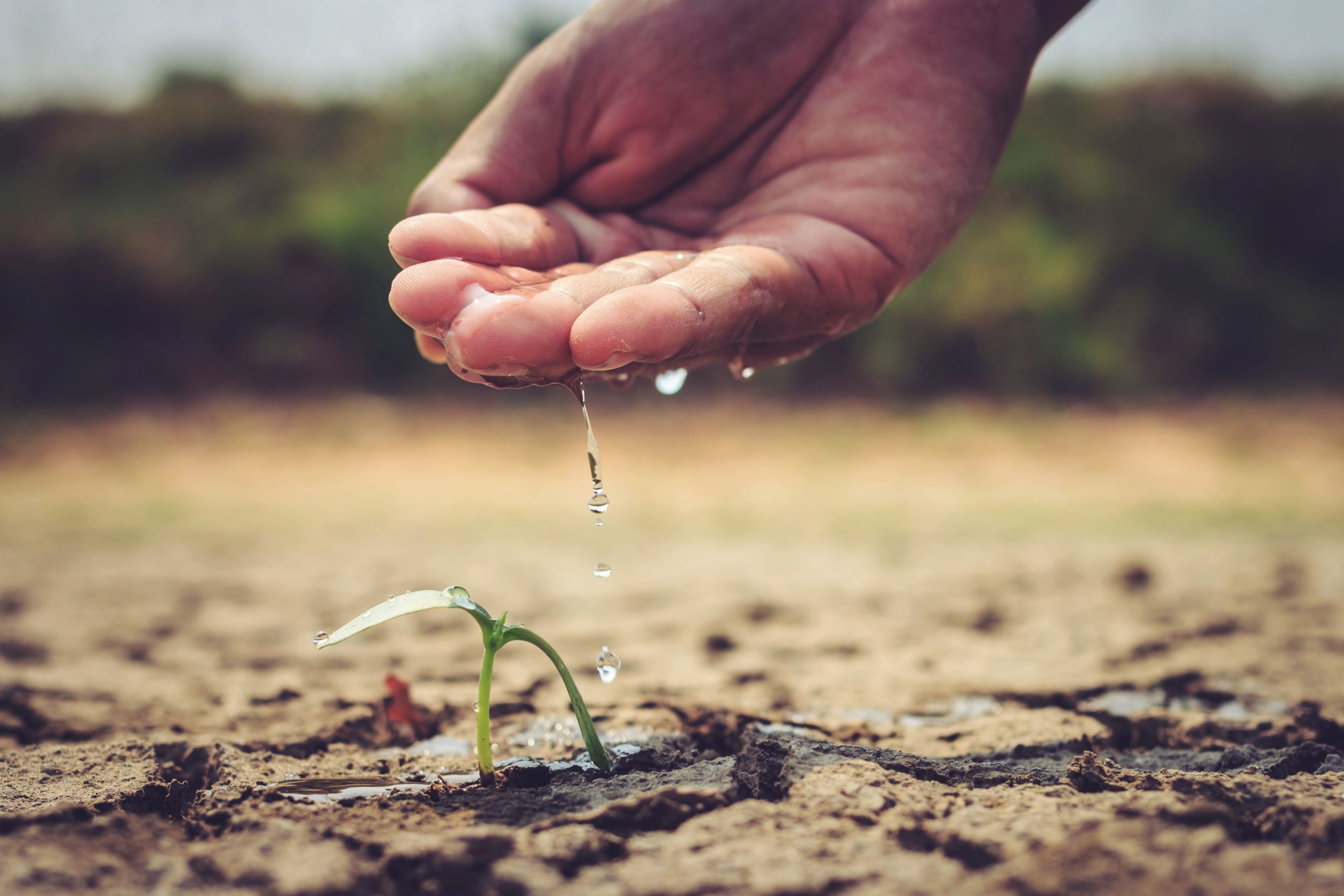 Cuidado y gestión comunitaria de las aguas. Experiencias y reflexiones desde los hidrofeminismos y feminismos ecoterritoriales